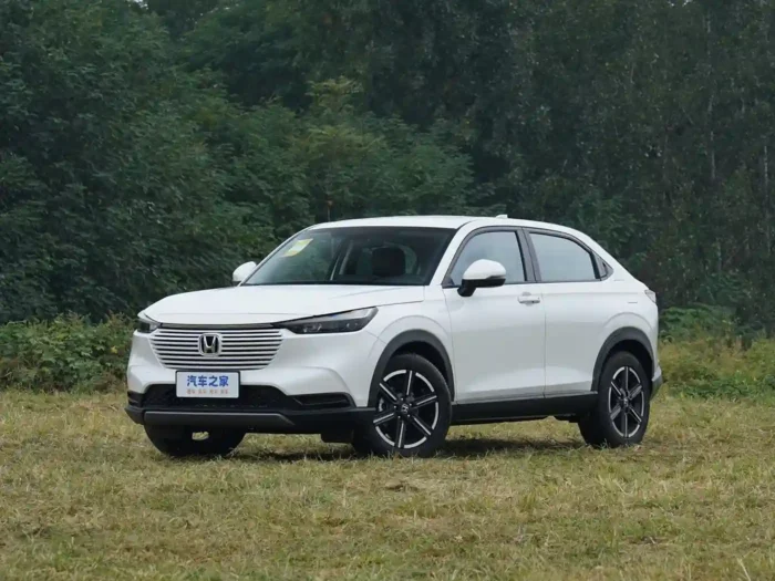 GAC Honda-VELZ — изображение 1