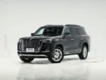 Hongqi Guoyao