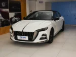 Hongqi H6 - Image 3
