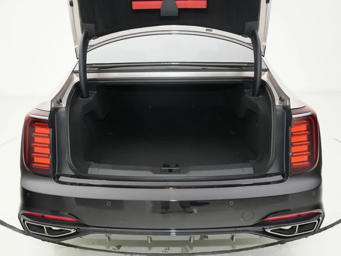 Hongqi H9(Gasoline) - Imagen 9