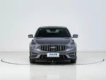 GEELY Preface - Image 2