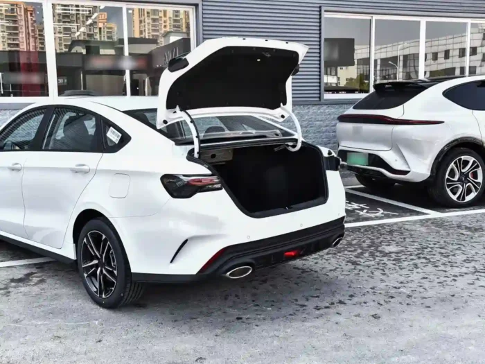 Geely Binrui — изображение 9