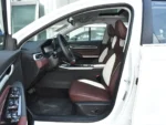 Geely EMGRAND(Gasoline) - Image 6