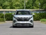 Hyundai-Custo - Image 2