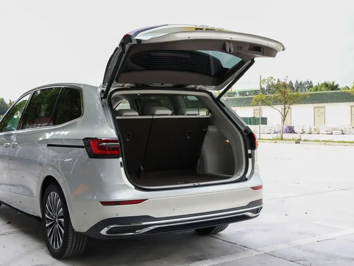 Volkswagen Viloran - Image 10