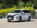 BYD M9