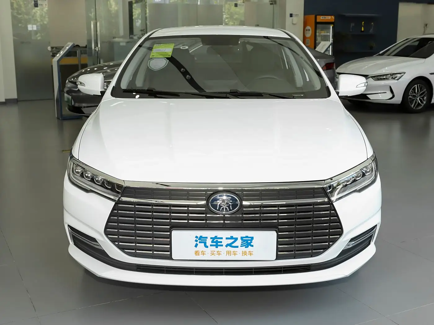 BYD Qin New Energy exterior (4) BYD Qin New Energy — изображение 2