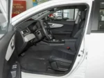 BYD Qin New Energy — изображение 6