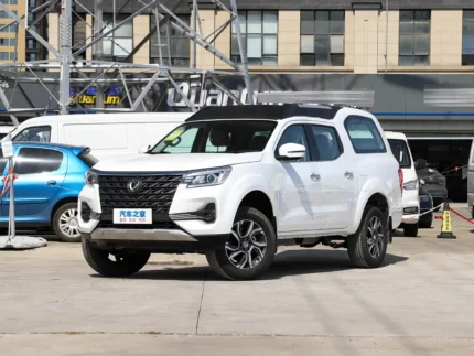Dongfeng Palaso