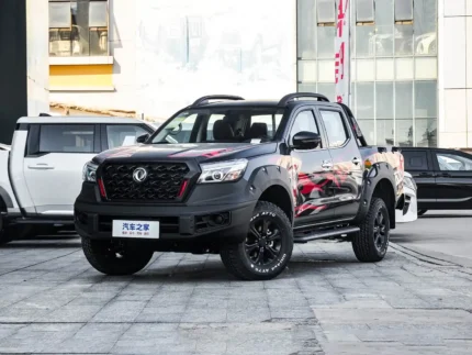 Dongfeng Richter 6 Pro