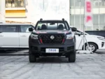 Dongfeng Richter 6 Pro - Image 2
